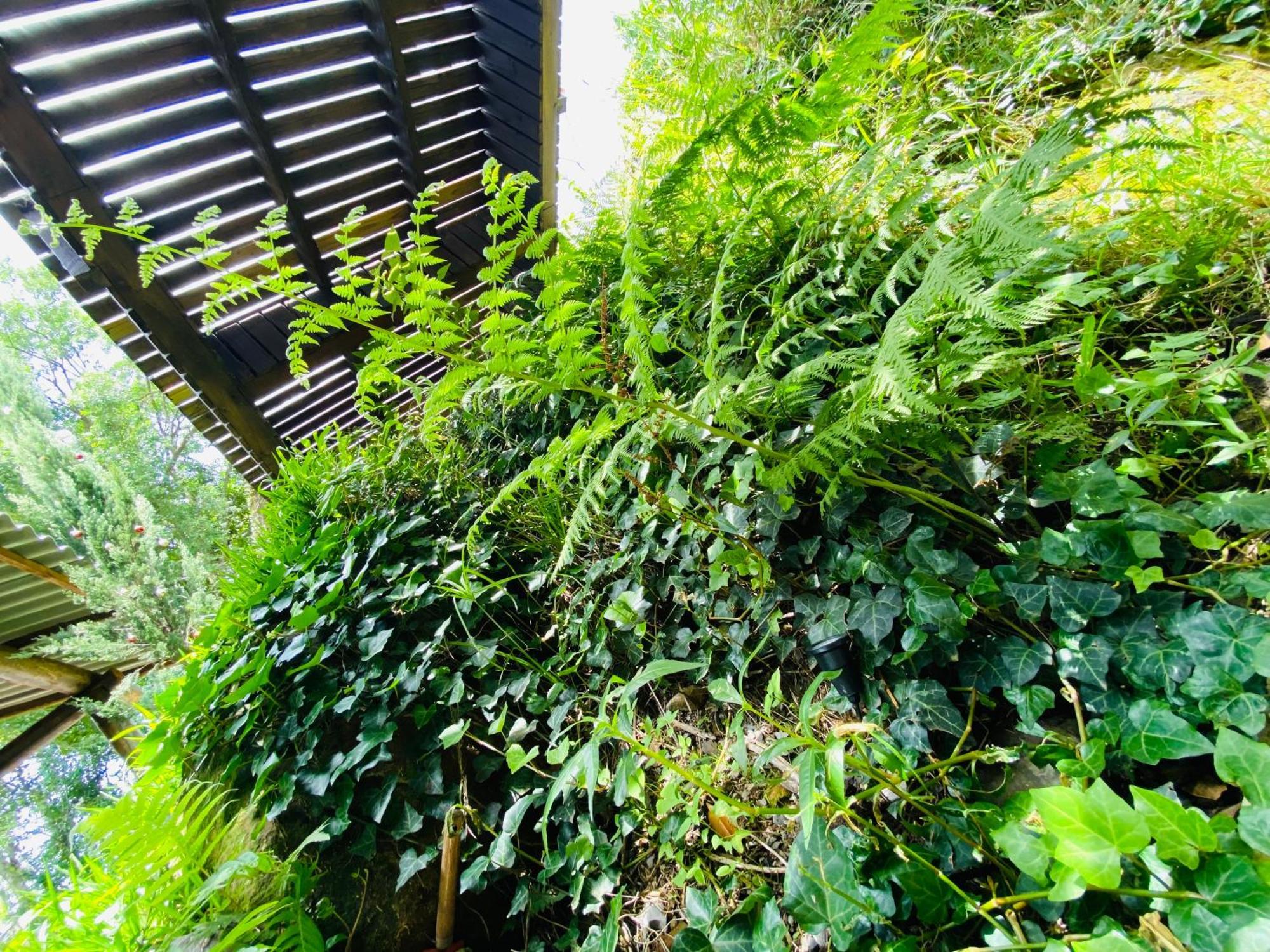 Paraiso Dos Ciclistas Gramado Ngoại thất bức ảnh